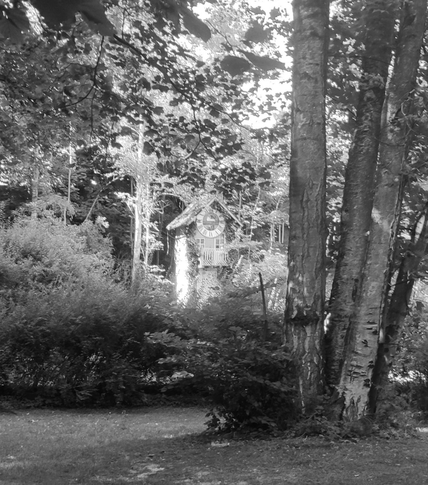 IMG_20230707_100453 korrigiert sw